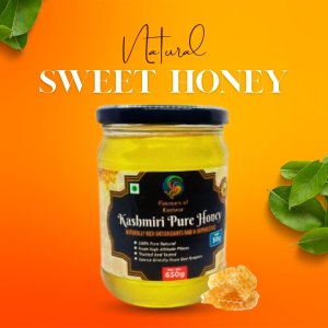 Kashmir Pure Honey – 650g